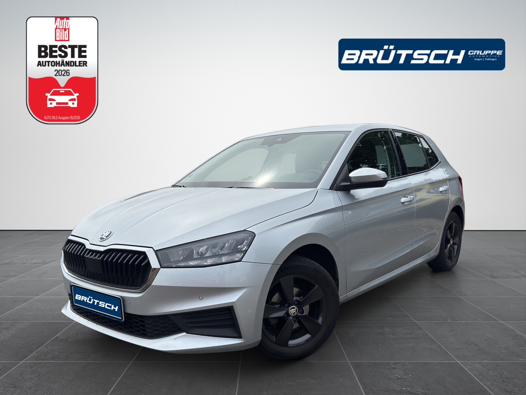 Skoda Fabia Gebrauchtwagen Kaufen