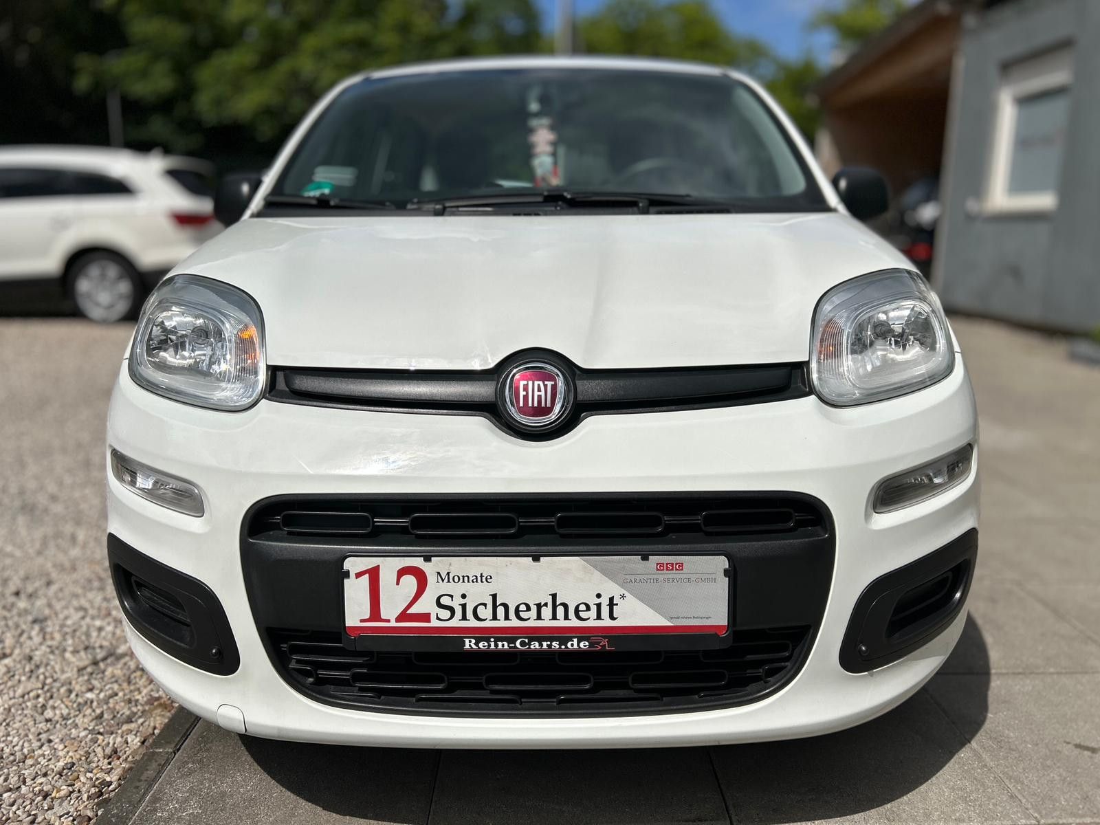 Daumennagel 8 - Fiat Panda 1.2 Pop/34TKM/I.HAND/ALLWETTER/TÜV-NEU/