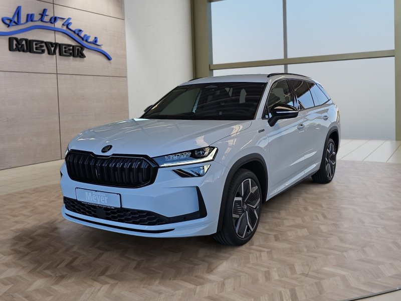 Skoda Kodiaq age.one-day registration Kaufen