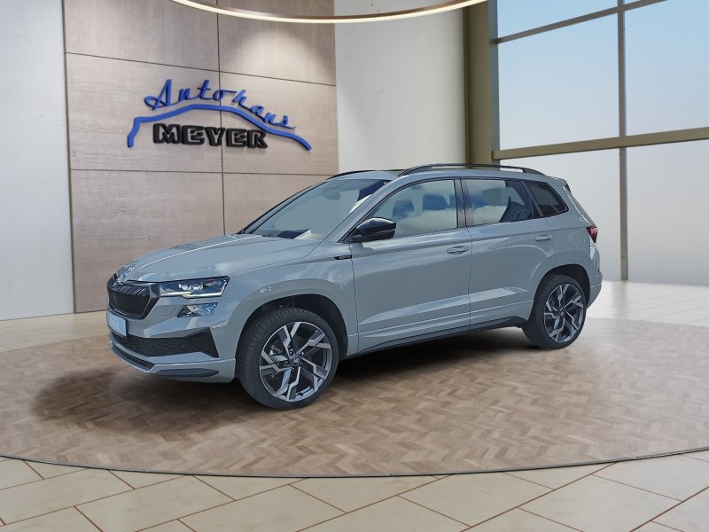 Skoda Karoq age.one-day registration Kaufen