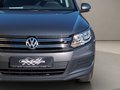 Daumennagel 5 - Volkswagen Tiguan 1.4TSI Trend&Fun Navi AHK PDC Tempomat