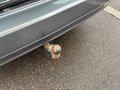 Daumennagel 34 - Mercedes-Benz E 250CDI Aut Avantgarde 4M Navi AHK Kam Xen Pano