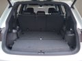 Daumennagel 30 - Volkswagen Tiguan Allsp. 2.0TDI R-Line 4M 7 Sitz Top Austat