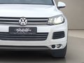 Daumennagel 14 - Volkswagen Touareg V6 TDI Exclusive ACC Dynaudio KAM AHK