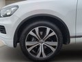 Daumennagel 15 - Volkswagen Touareg V6 TDI Exclusive ACC Dynaudio KAM AHK