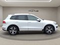 Daumennagel 7 - Volkswagen Touareg V6 TDI Exclusive ACC Dynaudio KAM AHK