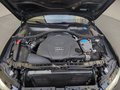 Daumennagel 34 - Audi A6 Avant 3.0 TDI quattro Xenon Navi Pano Bose
