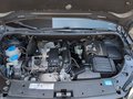 Daumennagel 33 - Volkswagen Touran 1.2TSI Style 7Sitze Pano  XEN Navi Kam