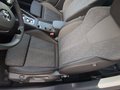 Daumennagel 20 - Skoda Octavia 1.4TSI Clever iV AHK Kam ACC Standheizg