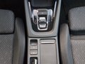 Daumennagel 26 - Skoda Octavia 1.4TSI Clever iV AHK Kam ACC Standheizg