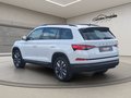 Daumennagel 12 - Skoda Kodiaq 2.0TSI DSG Tour 4x4 ACC Navi Spurhalte