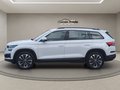 Daumennagel 13 - Skoda Kodiaq 2.0TSI DSG Tour 4x4 ACC Navi Spurhalte