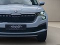 Daumennagel 14 - Skoda Kodiaq 2.0TSI DSG Tour 4x4 ACC Navi Spurhalte