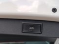 Daumennagel 34 - Skoda Kodiaq 2.0TSI DSG Tour 4x4 ACC Navi Spurhalte