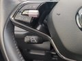 Daumennagel 37 - Skoda Kodiaq 2.0TSI DSG Tour 4x4 ACC Navi Spurhalte