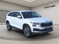 Daumennagel 5 - Skoda Kodiaq 2.0TSI DSG Tour 4x4 ACC Navi Spurhalte