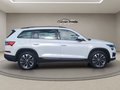 Daumennagel 7 - Skoda Kodiaq 2.0TSI DSG Tour 4x4 ACC Navi Spurhalte