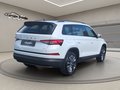 Daumennagel 9 - Skoda Kodiaq 2.0TSI DSG Tour 4x4 ACC Navi Spurhalte