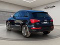 Daumennagel 12 - Audi Q5 2.0 TDI 125 kW quattro Xenon PDC Sitzheizung