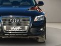 Daumennagel 14 - Audi Q5 2.0 TDI 125 kW quattro Xenon PDC Sitzheizung