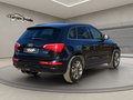 Daumennagel 9 - Audi Q5 2.0 TDI 125 kW quattro Xenon PDC Sitzheizung