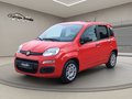 Daumennagel 2 - Fiat Panda 1.0 Urban Klima Parktronik DAB Radio