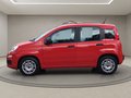 Daumennagel 13 - Fiat Panda 1.0 Urban Klima Parktronik DAB Radio