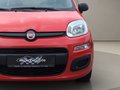 Daumennagel 14 - Fiat Panda 1.0 Urban Klima Parktronik DAB Radio