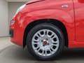 Daumennagel 15 - Fiat Panda 1.0 Urban Klima Parktronik DAB Radio