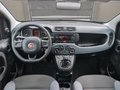 Daumennagel 22 - Fiat Panda 1.0 Urban Klima Parktronik DAB Radio