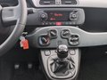 Daumennagel 23 - Fiat Panda 1.0 Urban Klima Parktronik DAB Radio
