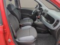 Daumennagel 25 - Fiat Panda 1.0 Urban Klima Parktronik DAB Radio