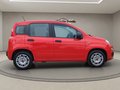 Daumennagel 7 - Fiat Panda 1.0 Urban Klima Parktronik DAB Radio