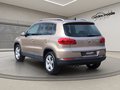 Daumennagel 12 - Volkswagen Tiguan 2.0TDI Cup Sp&St BMT 4x4 DSG AHK Navi