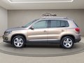 Daumennagel 13 - Volkswagen Tiguan 2.0TDI Cup Sp&St BMT 4x4 DSG AHK Navi