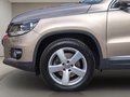 Daumennagel 15 - Volkswagen Tiguan 2.0TDI Cup Sp&St BMT 4x4 DSG AHK Navi