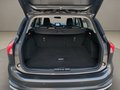 Daumennagel 30 - Ford Focus 1.5 EcoBoost Active Autom. LED B&O Navi