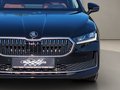 Daumennagel 13 - Skoda Superb Combi 2.0 TDI 4x4 L&K AHK ACC LED NAVI