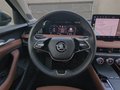 Daumennagel 23 - Skoda Superb Combi 2.0 TDI 4x4 L&K AHK ACC LED NAVI