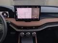Daumennagel 28 - Skoda Superb Combi 2.0 TDI 4x4 L&K AHK ACC LED NAVI
