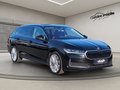 Daumennagel 5 - Skoda Superb Combi 2.0 TDI 4x4 L&K AHK ACC LED NAVI