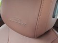 Daumennagel 35 - Skoda Superb Combi 2.0 TDI 4x4 L&K AHK ACC LED NAVI