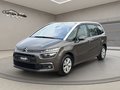 Daumennagel 2 - Citroën Grand C4 Spacetourer Feel 7 Sitz Navi Pano PDC