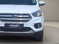 Daumennagel 14 - Ford Kuga 1.5 Cool & Connect Navi Sitzheiz PDC