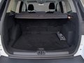 Daumennagel 31 - Ford Kuga 1.5 Cool & Connect Navi Sitzheiz PDC