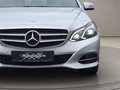 Daumennagel 14 - Mercedes-Benz E 250d 4M Avantgarde Autom. Navi AHK MB100 SD
