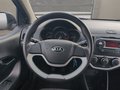 Daumennagel 20 - Kia Picanto 1.0 klima Alufelgen AHK