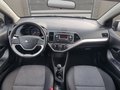 Daumennagel 22 - Kia Picanto 1.0 klima Alufelgen AHK