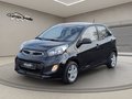 Daumennagel 1 - Kia Picanto 1.0 klima Alufelgen AHK