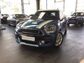 MINI Cooper S Countrymann ALL4 Head-Up NaviProf.Leder LED Komfortzugang - bilder 1